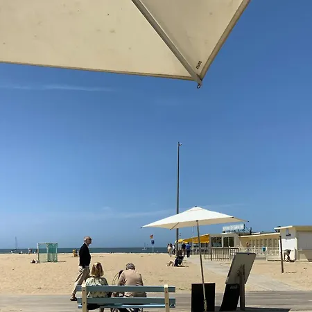 Stunning In Sur With House Sea View Трувиль-сюр-Мер
